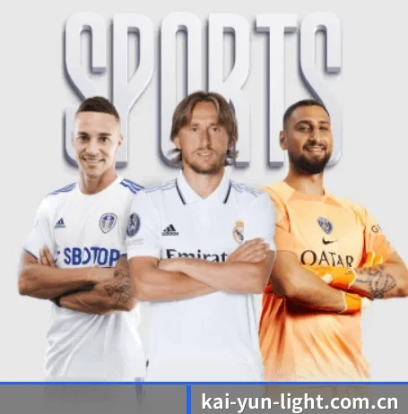 kaiyun APP 界面